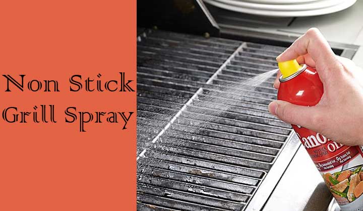 Best Non Stick Spray For Grill
