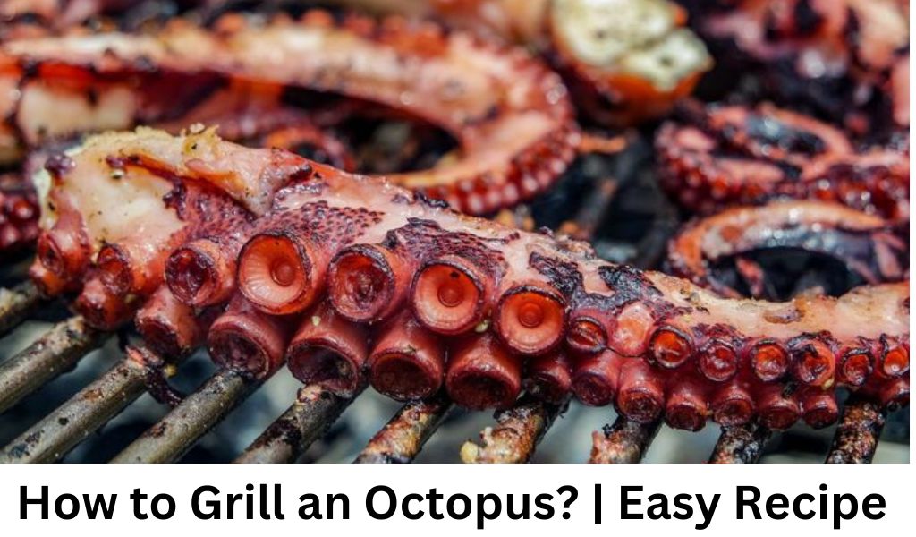 How to Grill an Octopus