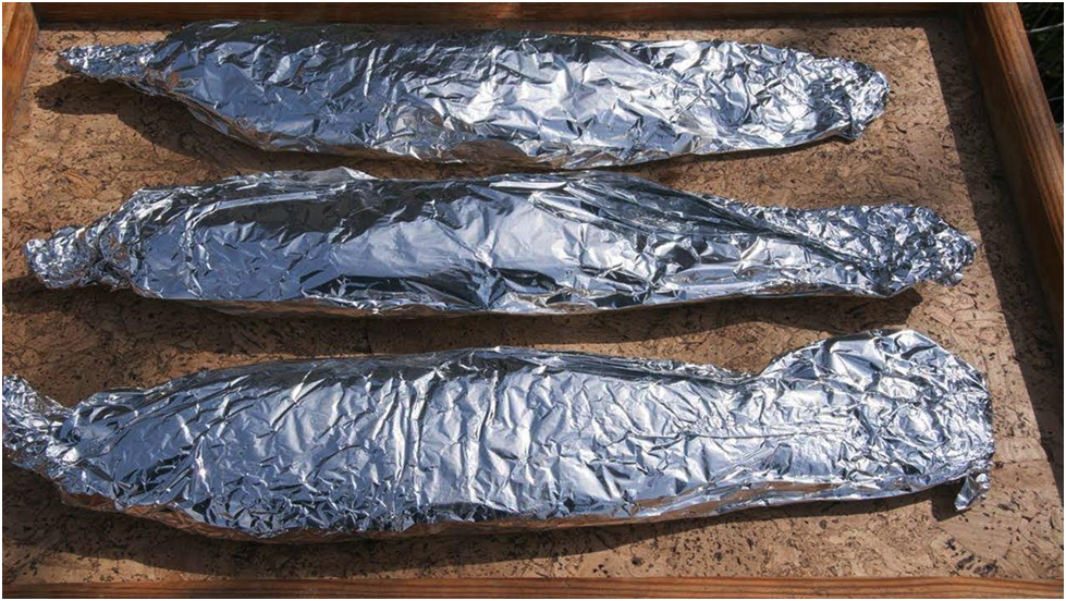 Aluminum foil Grilled Vegetables