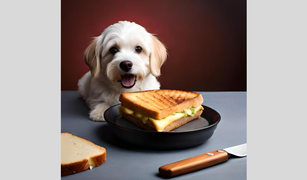 Can a Dog Eat Grilled Cheese?