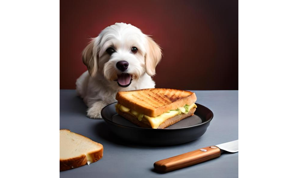 The Great Cheese Debate: Can Dogs Eat Grilled Cheese?